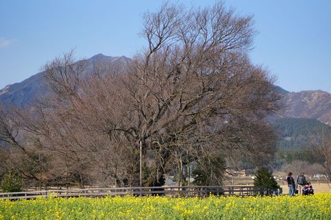 DSC00618.jpg