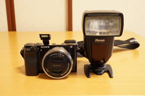 DSC07230.JPG